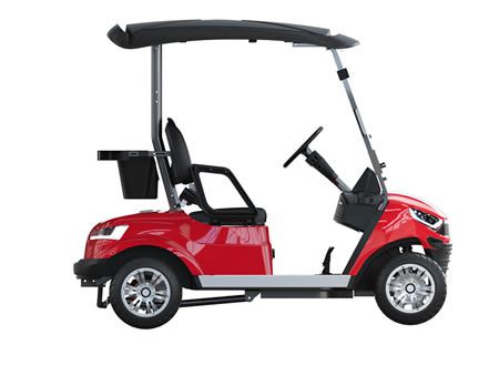 2 Personen Elektro Golfcart