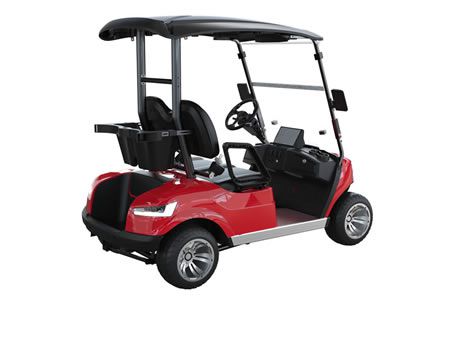 2 Personen Elektro Golfcart