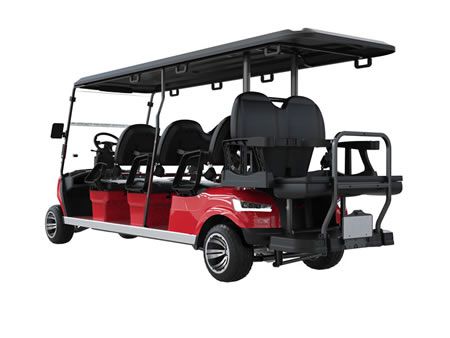 6+2 Personen Elektro Golfcart