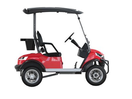 Gelände Golfcarts, Zweisitzer 