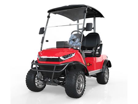 Gelände Golfcarts, Zweisitzer 